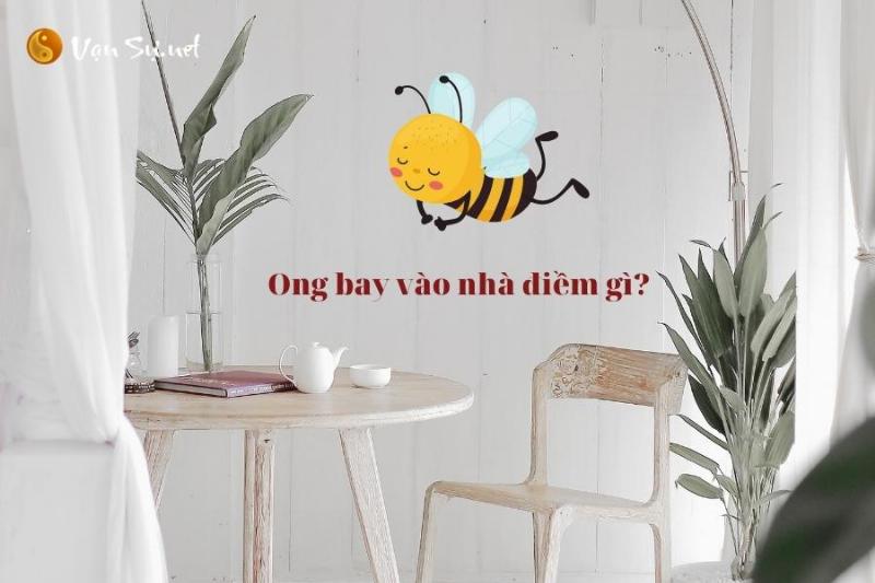 Ong mật bay vào nhà: Điềm báo may mắn?