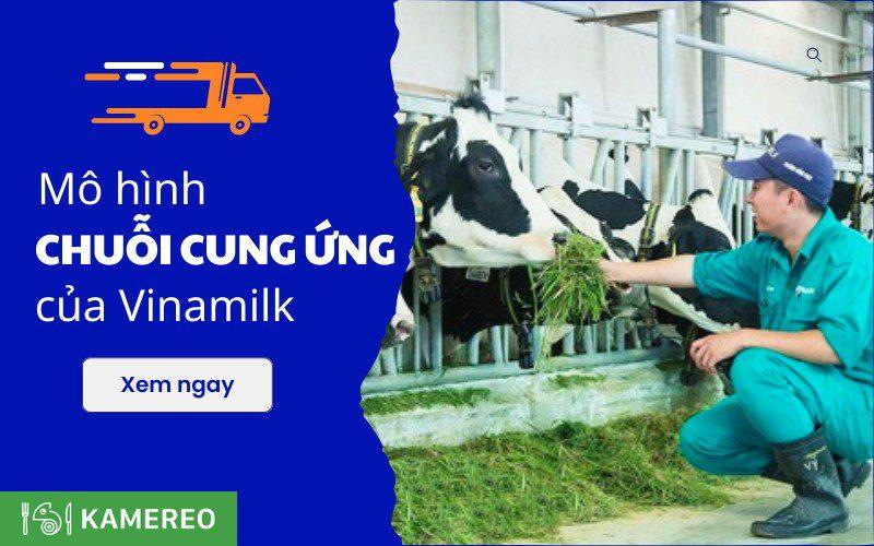 Minh hoa quy trinh quan ly chuoi cung ung sua cua Vinamilk
