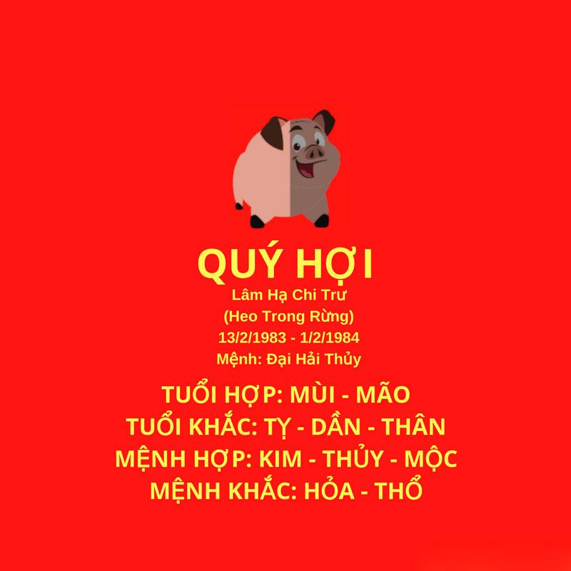 Quản lý tài chính tuổi Quý Hợi nữ mạng