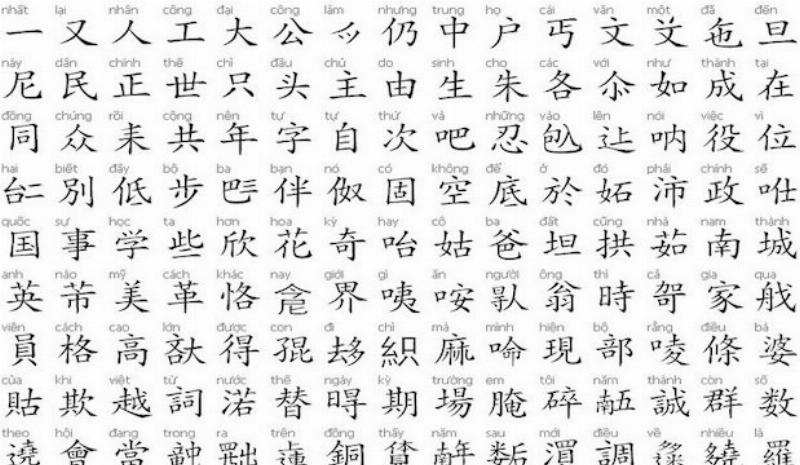 Hình ảnh minh họa người đang đọc giáo trình và ghi chú, kết hợp với việc đọc sách tác phẩm gốc, thể hiện cách sử dụng giáo trình tiến trình văn học hiệu quả