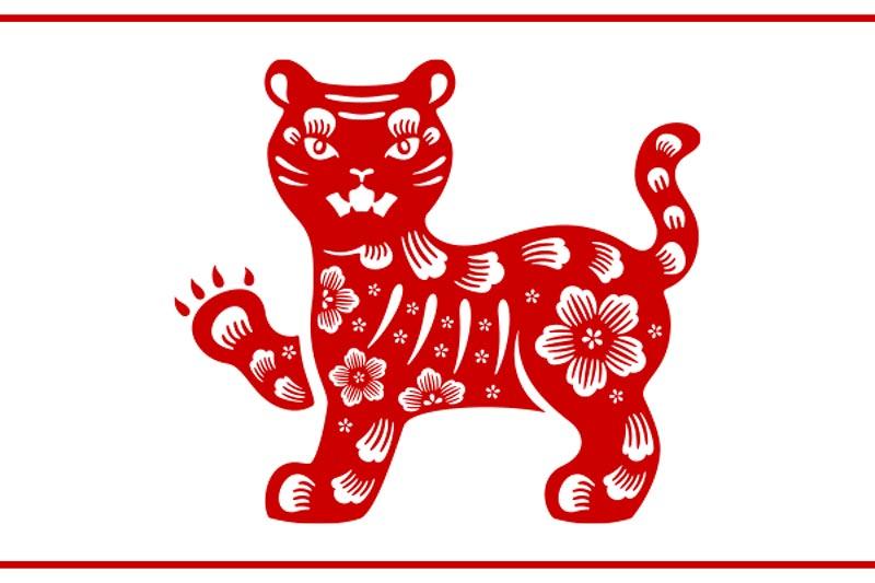 Hình ảnh minh họa con mèo, biểu tượng của tuổi Mão trong 12 con giáp, đại diện cho người tuổi Tân Mão