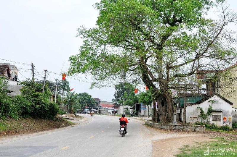 Thế hệ 1930 chứng nhân lịch sử