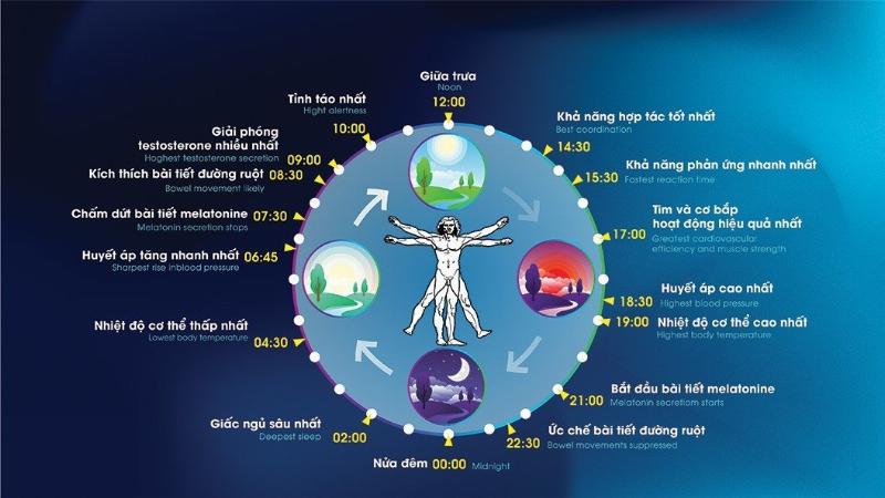 Hình ảnh biểu tượng của một bộ não sáng tạo hoặc bóng đèn sáng, thể hiện tư duy độc lập trong học tập.