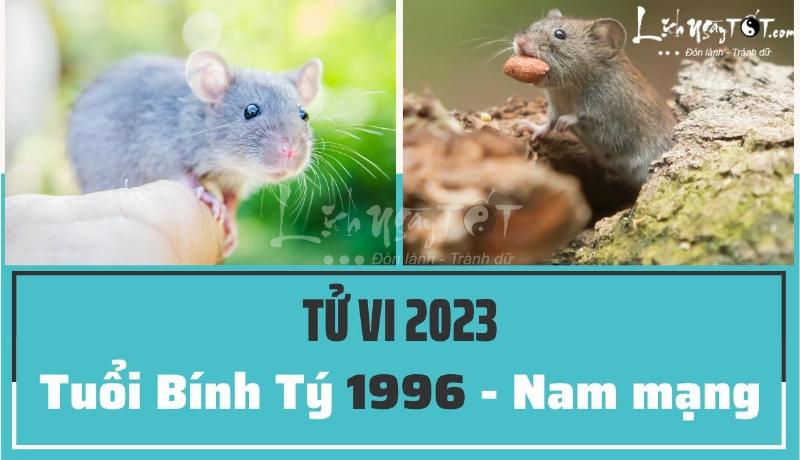 Tử vi Bính Tý 2023 nam mạng tài lộc