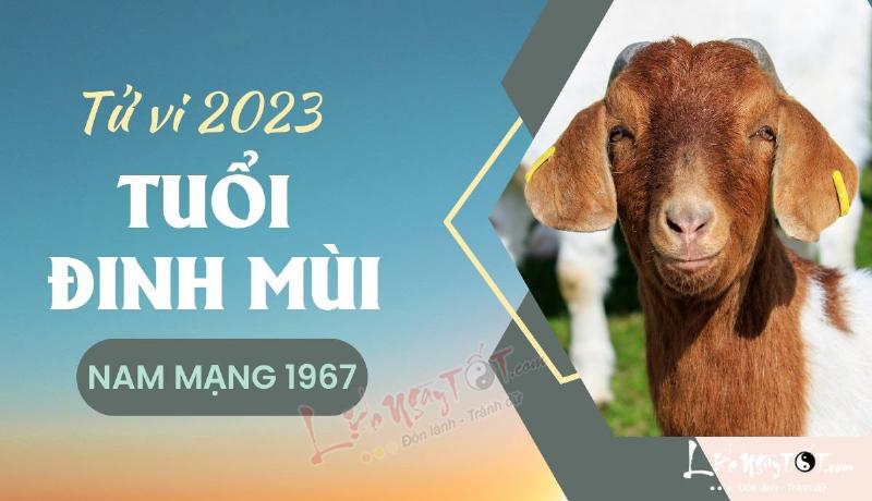 Tử vi Đinh Mùi 1967 nam mạng công việc 2023