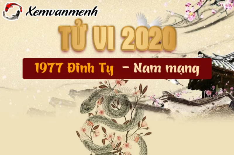 Tổng Quan Tử Vi Đinh Tỵ 2020