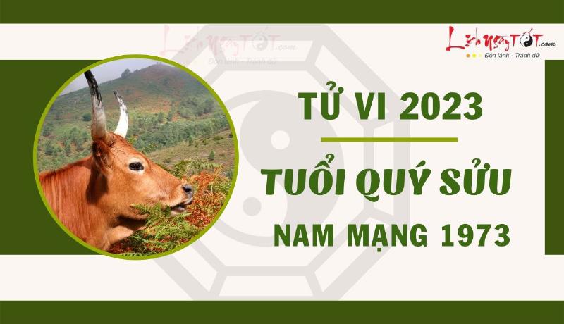 Tử Vi Nam Mạng Quý Sửu 2023