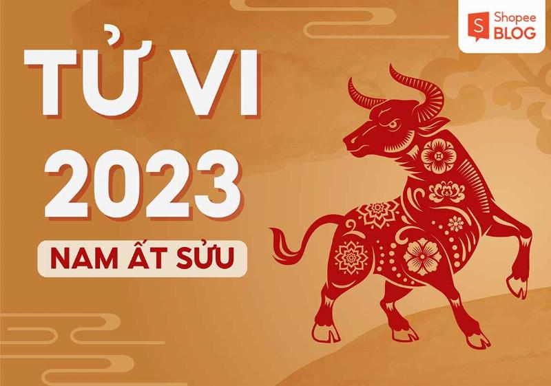 Tử vi sự nghiệp nam Ất Sửu 2023