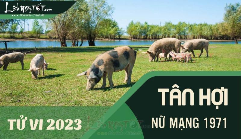 Tử vi Tân Hợi 1971 nữ tài chính 2023