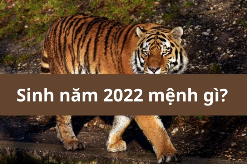 Bảng màu sắc và các tuổi tương hợp với người sinh năm 2022 mệnh Kim
